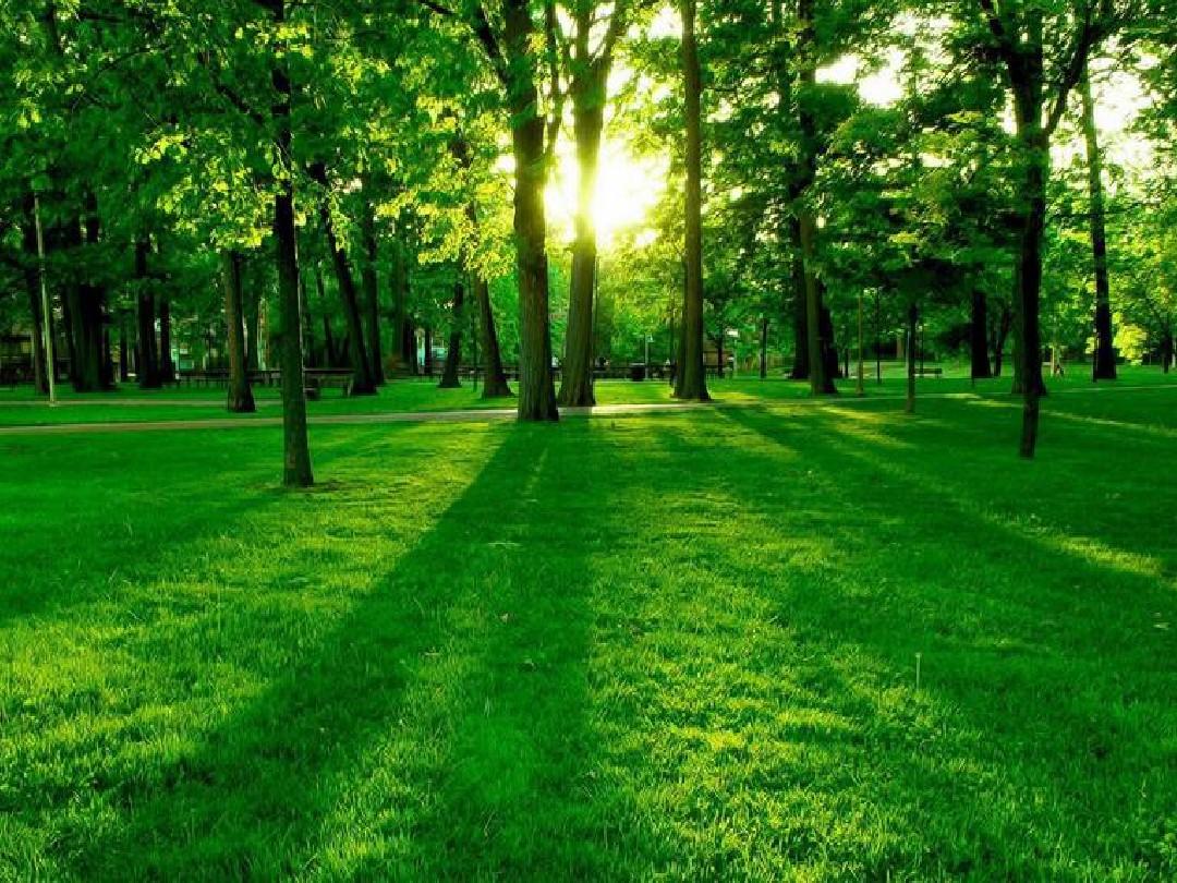 中國工程院院士王雙明：煤炭兜底”與“綠色低碳”并行不悖